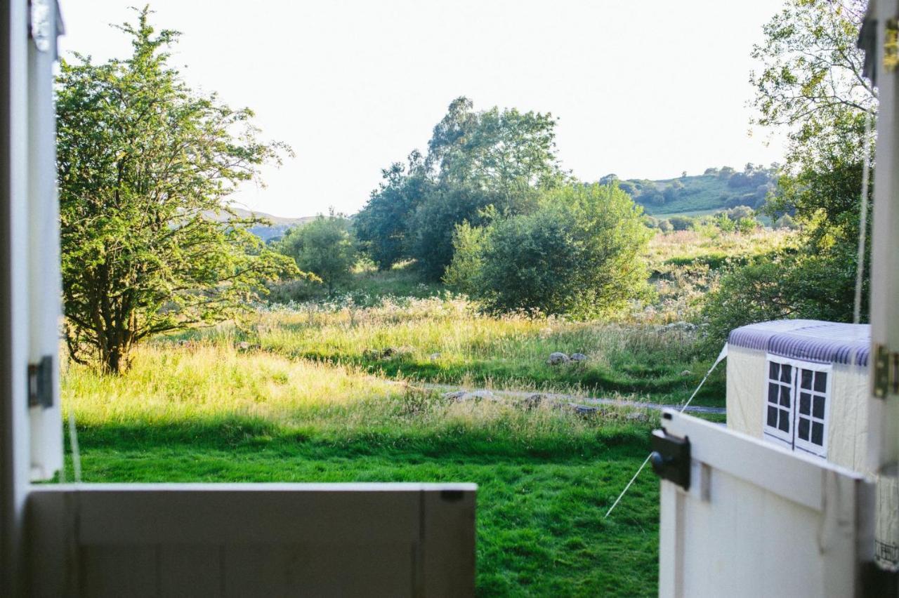 Snowdonia Shepherds' Huts Conwy Eksteriør billede