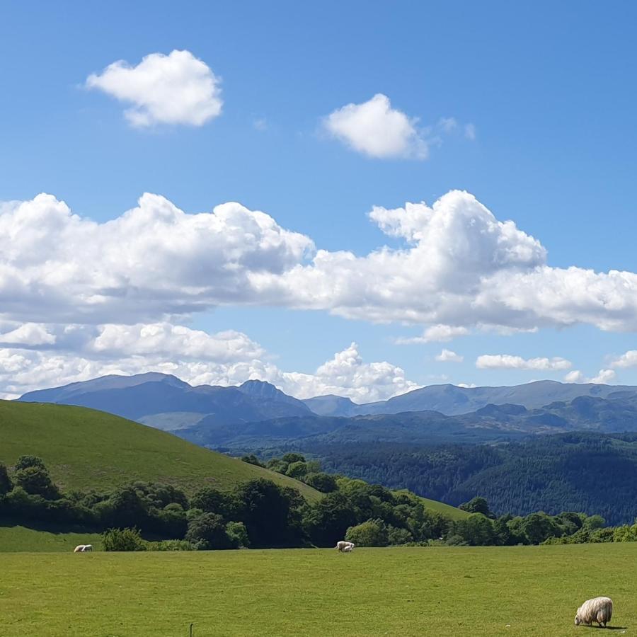 Snowdonia Shepherds' Huts Conwy Eksteriør billede